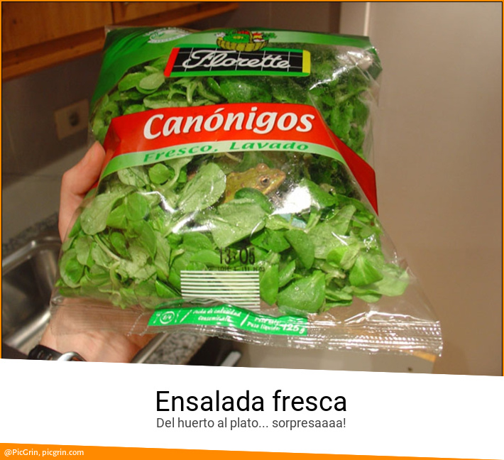 Ensalada fresca