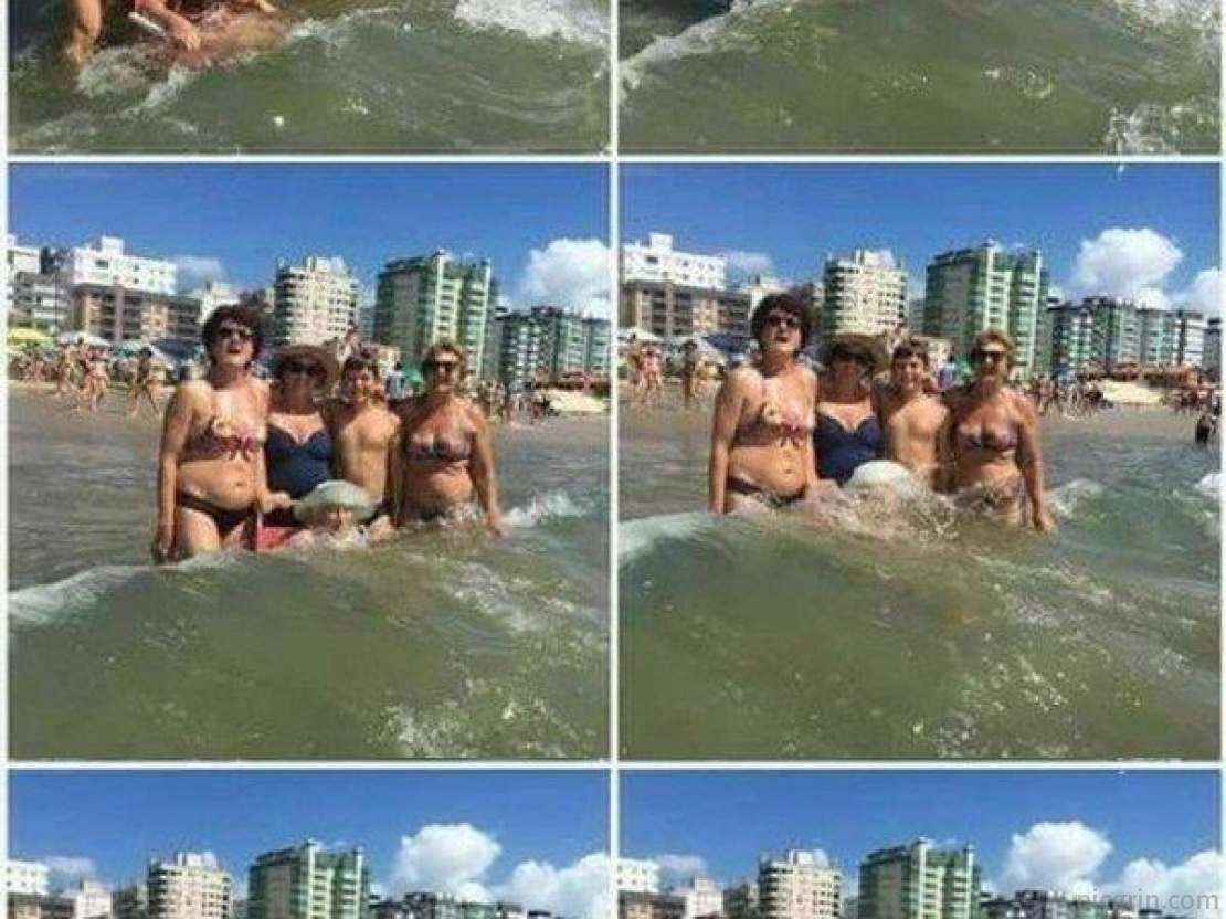 Не знала горя черепаха но тут приехала турист натаха Не знала горя черепаха но тут приехала турист натаха