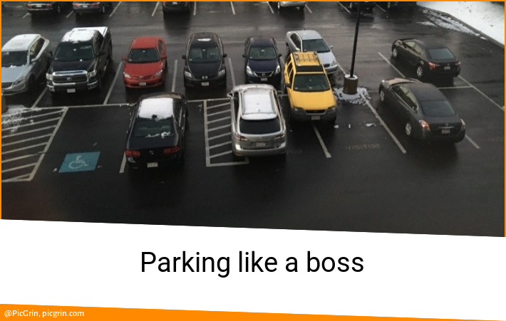 Parking like a boss