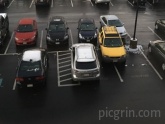 Parking like a boss