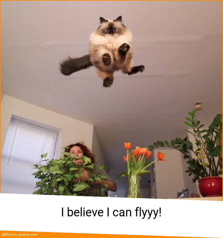 I believe I can flyyy!