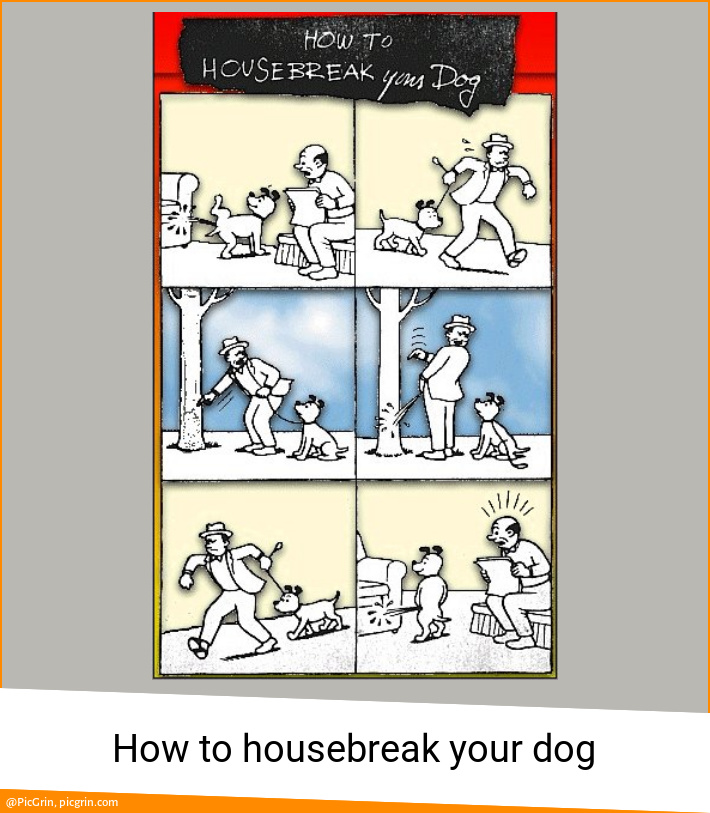 How to housebreak your dog