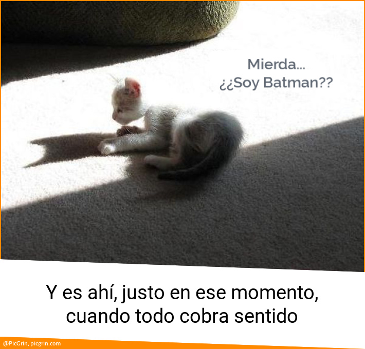 Y es ahí, justo en ese momento, cuando todo cobra sentido