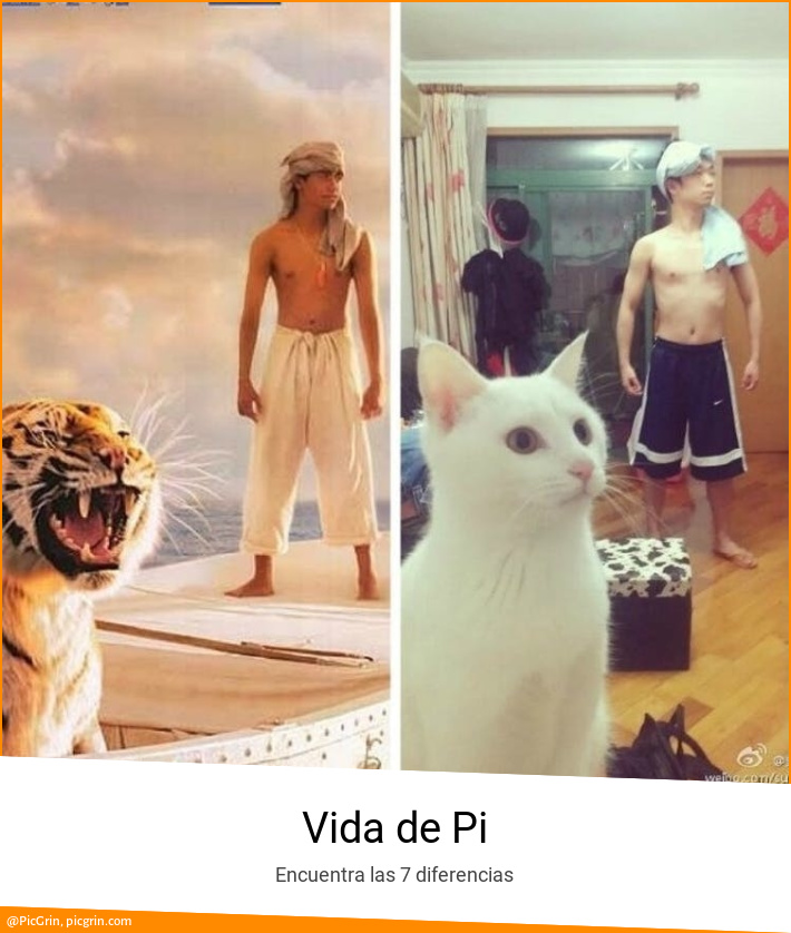 Vida de Pi