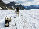 Flat tire in Alaska