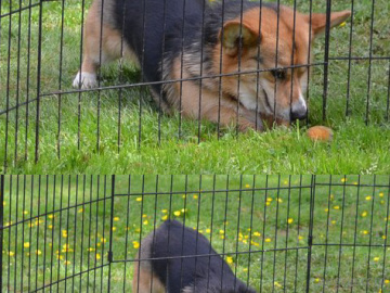 Algunos sueños parecen inalcanzables