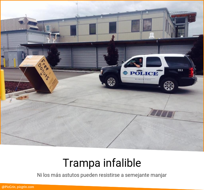 Trampa infalible