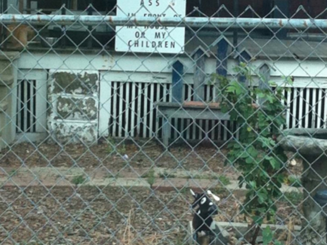 You walked into the wrong neighbourhood - PicGrin