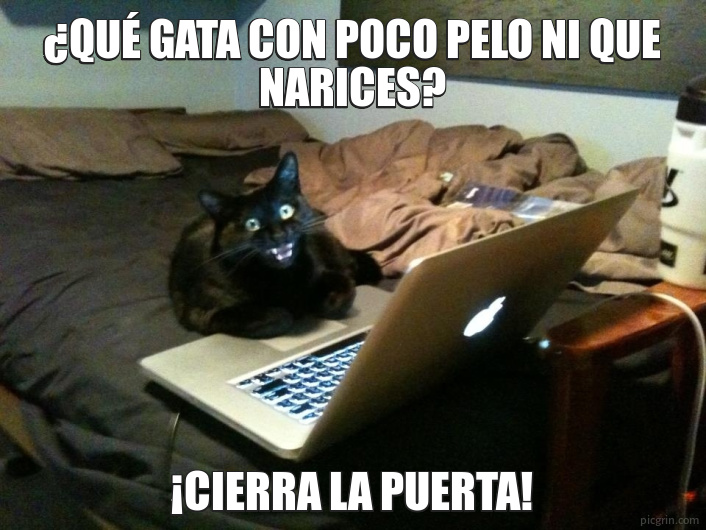 ¿Qué gata con poco pelo ni que narices?