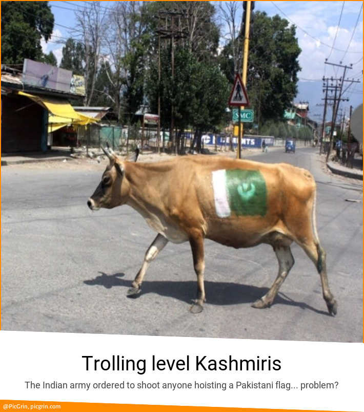 Trolling level Kashmiris