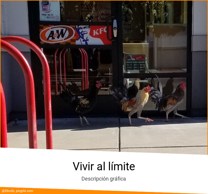 Vivir al límite