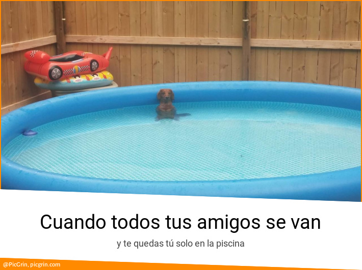 Cuando todos tus amigos se van