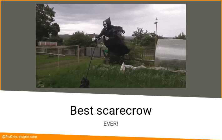 Best scarecrow