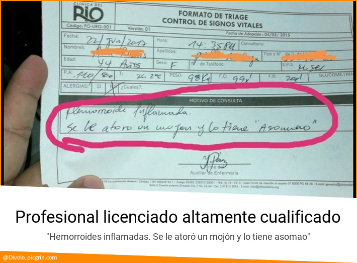 Profesional licenciado altamente cualificado