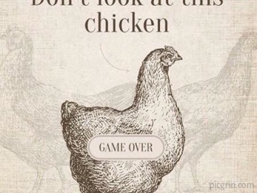 Chicken Game