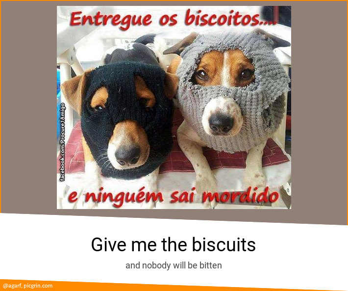 Give me the biscuits