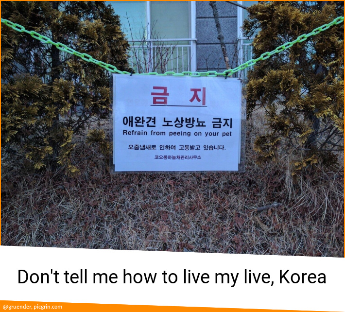 Don't tell me how to live my live, Korea