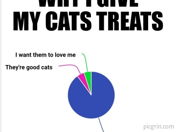 Why do I give my cats treats?
