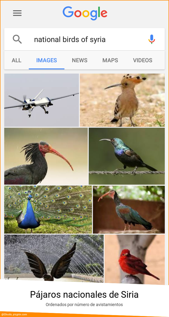 Pájaros nacionales de Siria