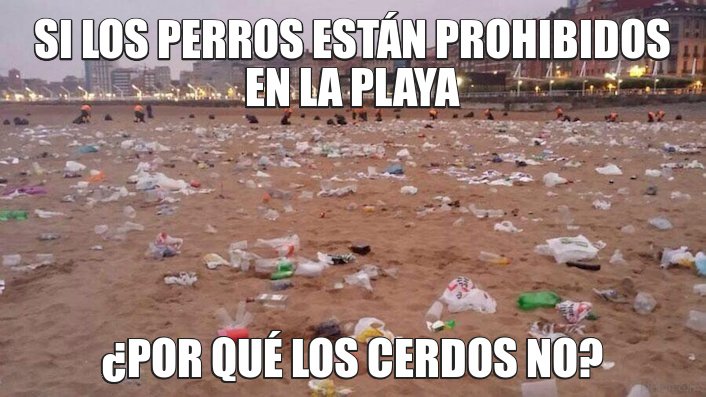 Si los perros están prohibidos en la playa