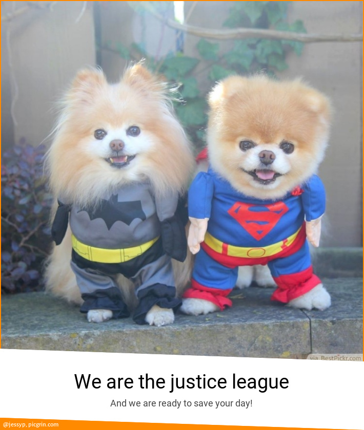 We are the justice league