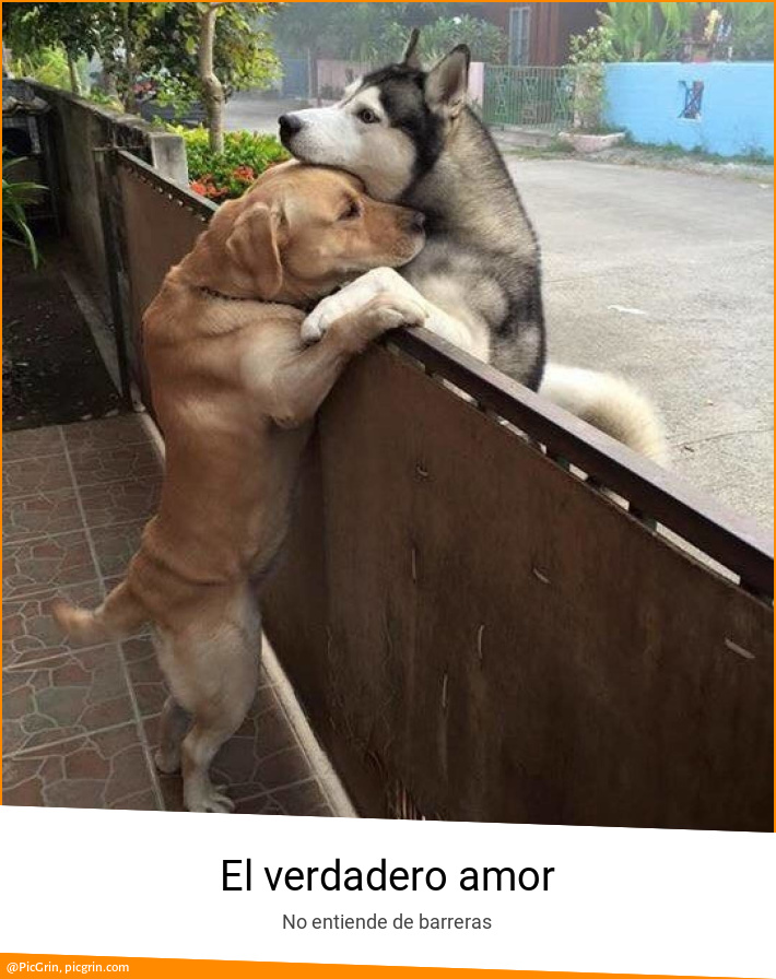 El verdadero amor