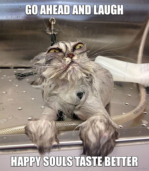 Go ahead and laugh