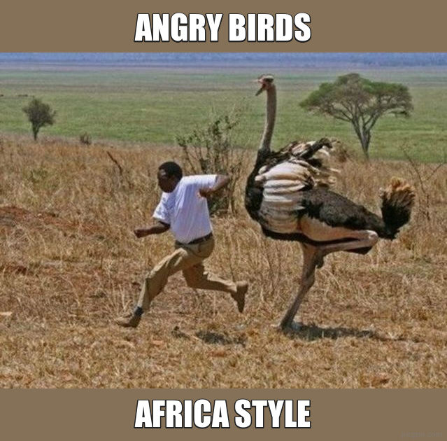 ANGRY BIRDS