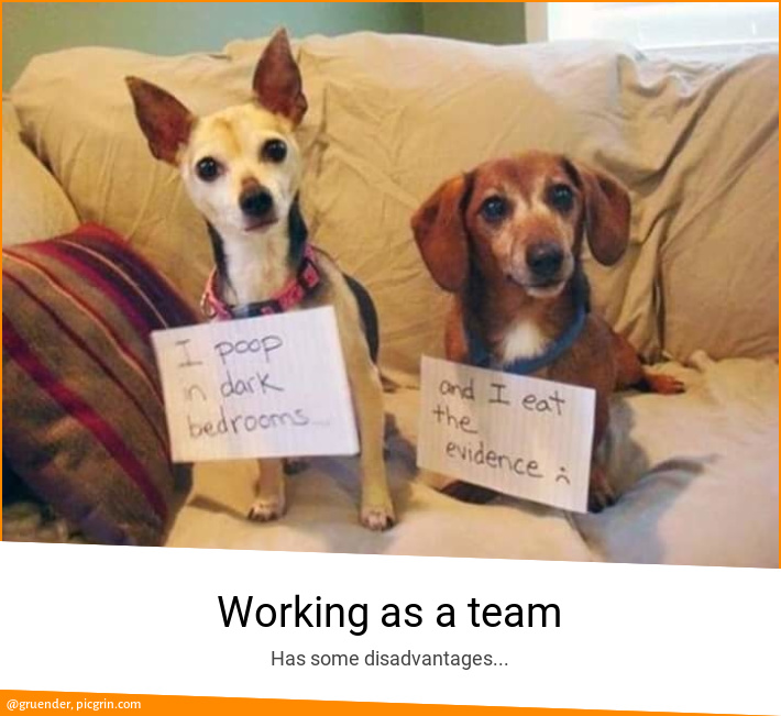 Working as a team