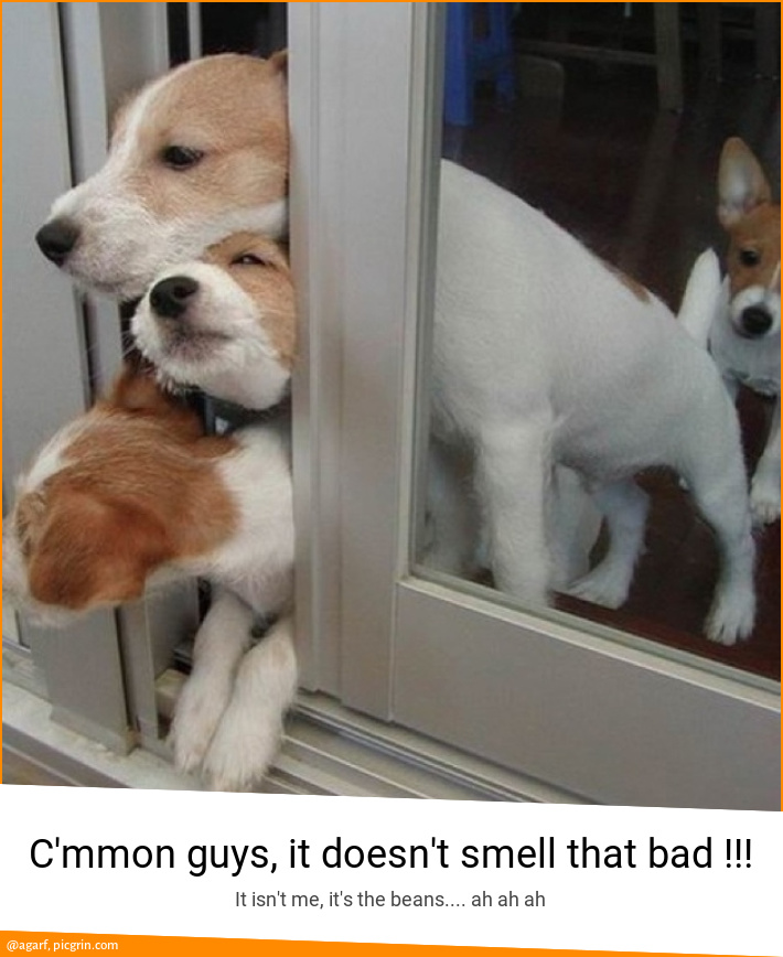 C'mmon guys, it doesn't smell that bad !!!