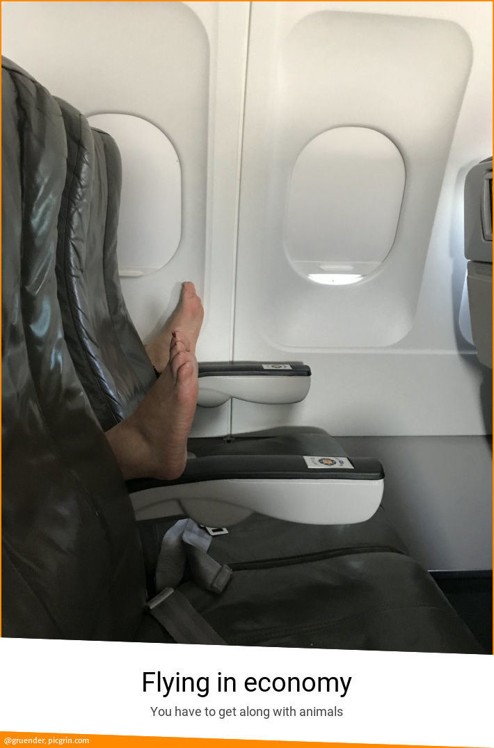 Flying in economy