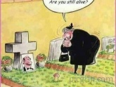 Someone please tell her it's a mushroom!