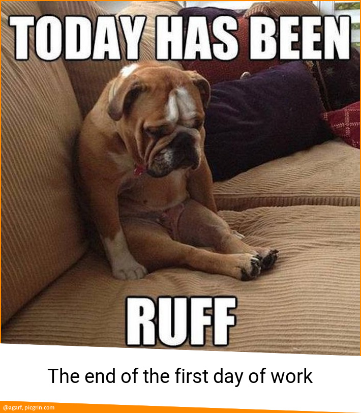 The End Of The First Day Of Work Picgrin