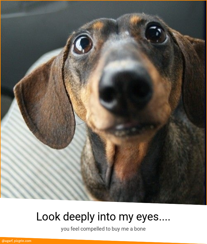 Look deeply into my eyes....