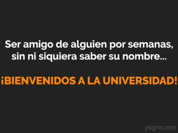 Universidad