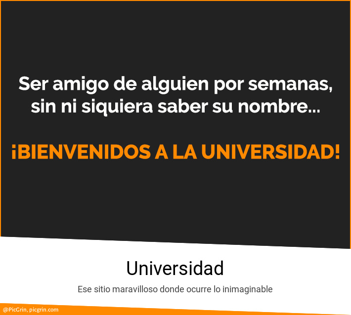 Universidad