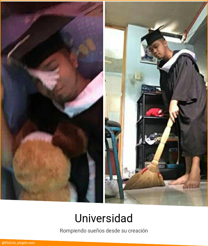 Universidad