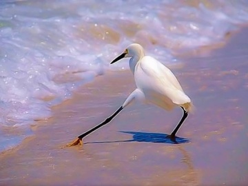 Cuando te vas a meter al agua