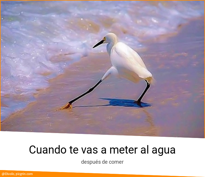 Cuando te vas a meter al agua