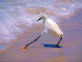 Cuando te vas a meter al agua