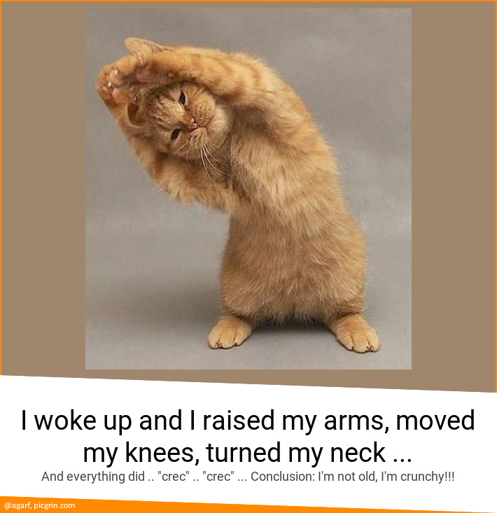 I woke up and I raised my arms, moved my knees, turned my neck ...
