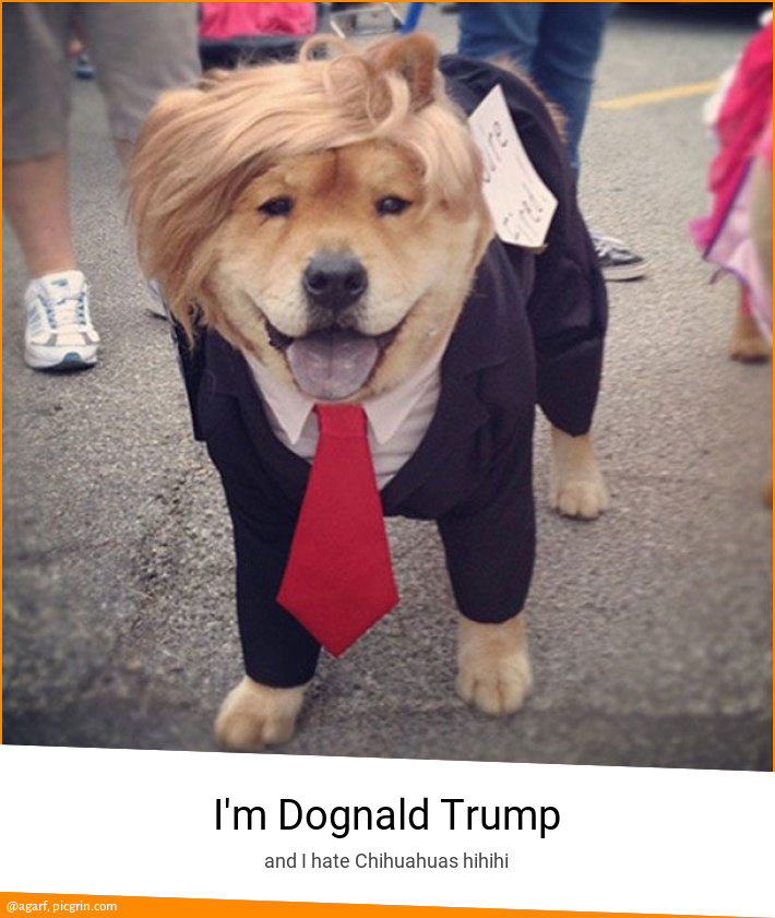 I'm Dognald Trump