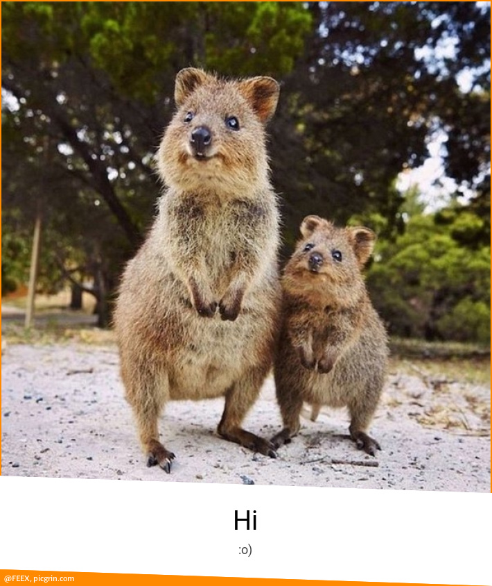 Hi