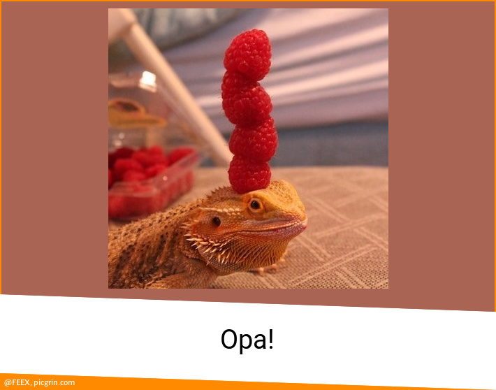 Opa!