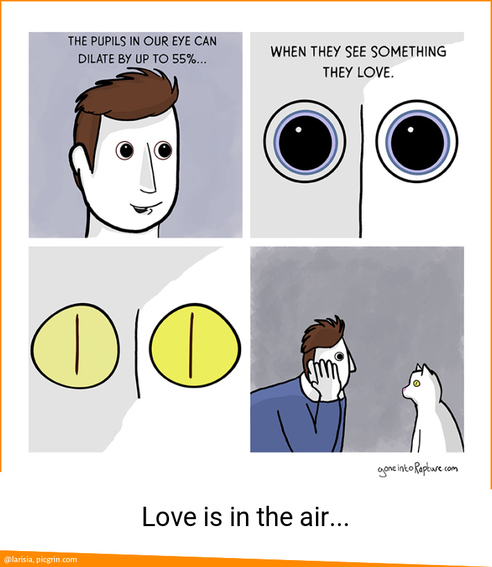 Love is in the air...