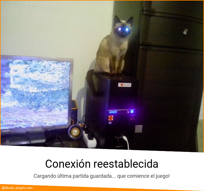 Conexión reestablecida