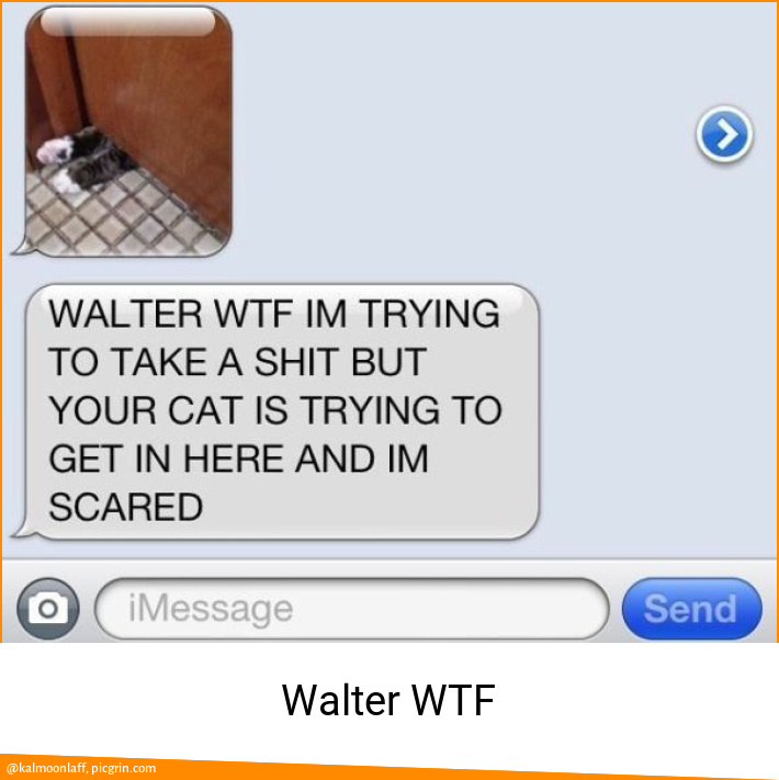 Walter WTF