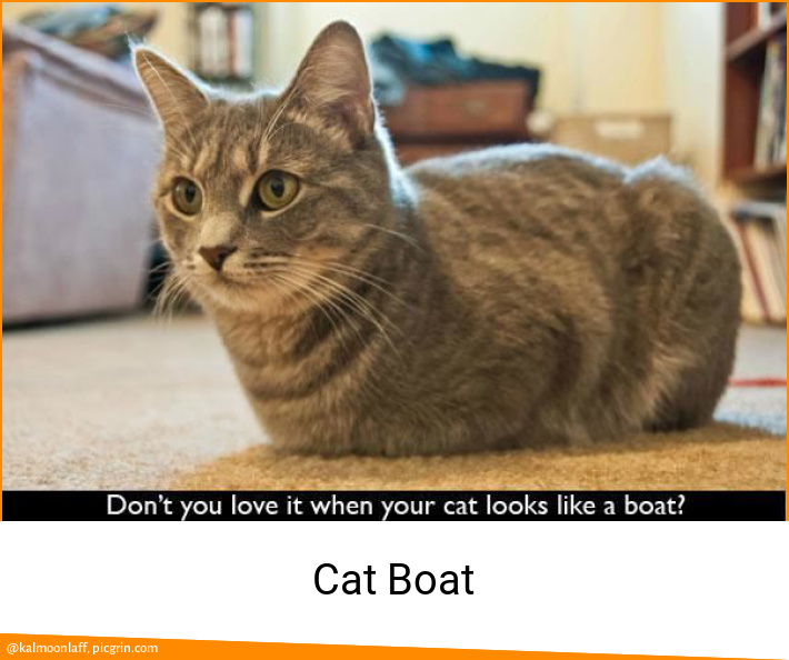 Cat Boat