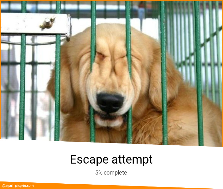 Escape attempt