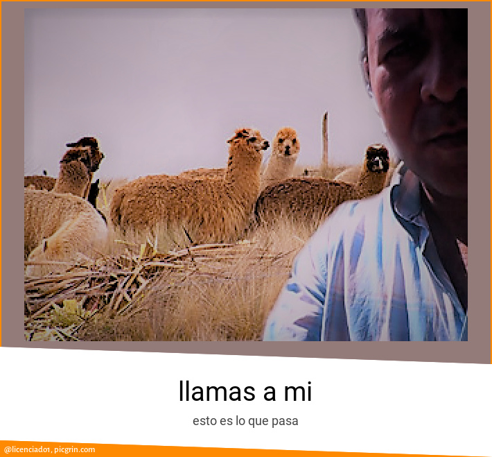 llamas a mi